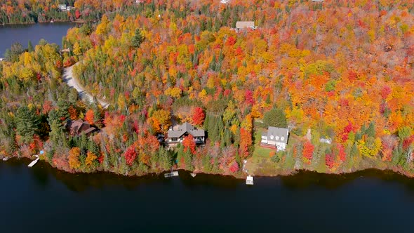 4K camera drone captures stunning autumn foliage colors while flying over the lake.