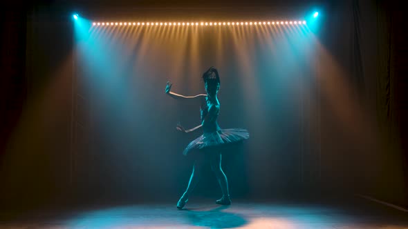 Silhouette of a Graceful Ballerina in a Chic Image of a Black Swan. Dancing of Elements Classical alt