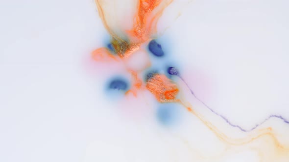 Red and Blue Spots Spread Out on a Light Background alt