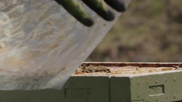 BEEKEEPING - Beekeeper covering a beehive in an apiary, static close up alt