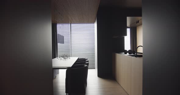 Real Contemporary and Modern Design Apartment Stylish Interior of the Kitchen alt