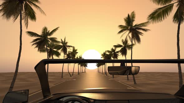 Exotic road trip in a cabriolet car along the road among tropical palms to the sea on vacation