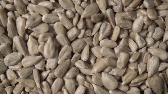Sunflower Seeds as Food Background alt