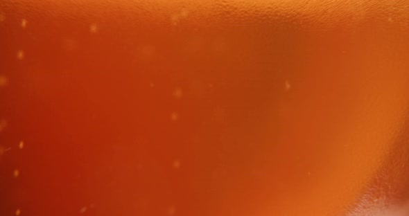 Beer Close Up