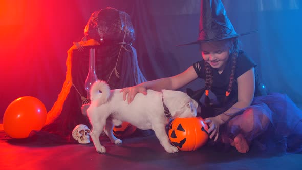 Halloween Celebration Concept. Little Girl Feeding a Funny Dog From Halloween Pumpkin alt