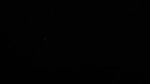 Beautiful Multi Colored Fireworks in Night Sky. New Years Eve Fireworks Celebration. Shining alt