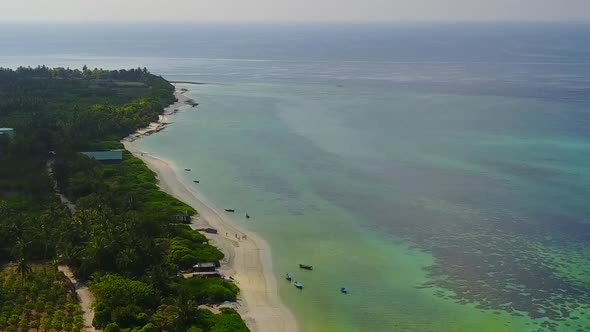 Aerial drone travel of bay beach wildlife by blue sea and sand background alt