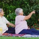 Video of happy biracial senior couple having picnic in garden - VideoHive Item for Sale