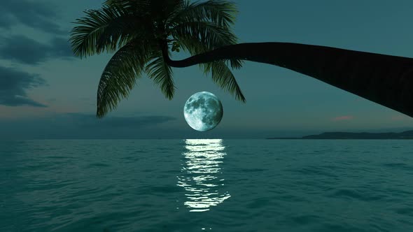 Palm tree over water and sea on a moonlit night