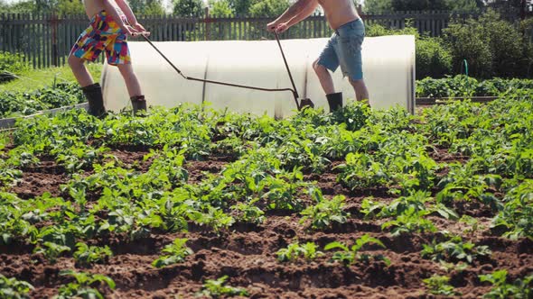 Dad and Son Working in Garden Plowing Ground Pulling Plow Preparing Soil alt