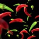 Peppers - VideoHive Item for Sale