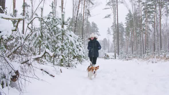 Happy Beagle Dog is Running with His Female Owner During the Walk in the Snowy Winter Forest alt