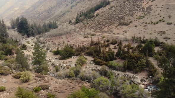 Flying at high speed over treetops on a valley in Cordillera de los Andes-4K alt