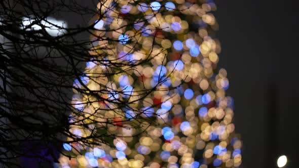 Christmas Tree in Focus Against the Backdrop of City Life in Winter at Night