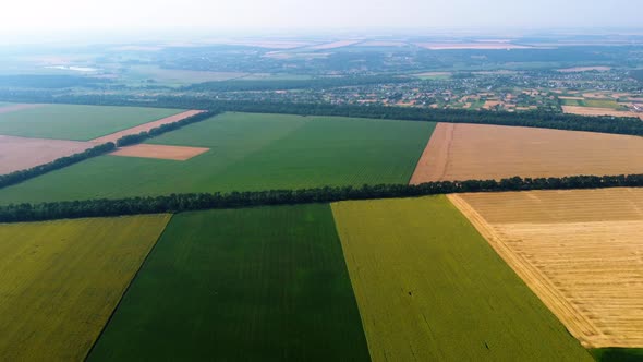 Aerial Drone View Yellow Wheat Field and Green Agricultural Field alt