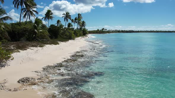 Caribbean Island 69 alt