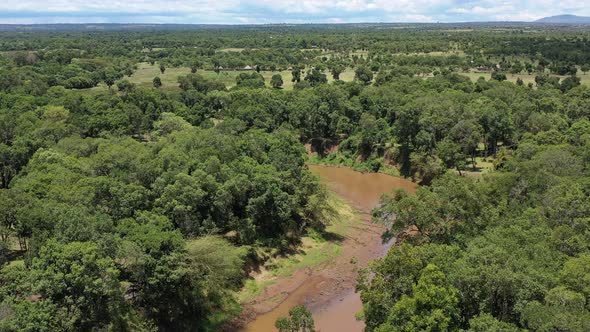 Natural Real Africa Savanna alt