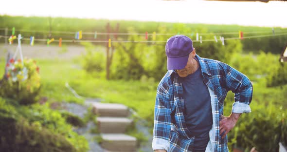 Agriculture Confident Male Gardener Examining Potted Flower Plant alt