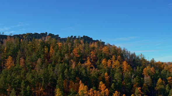 Autumn Forest on the Mountainside