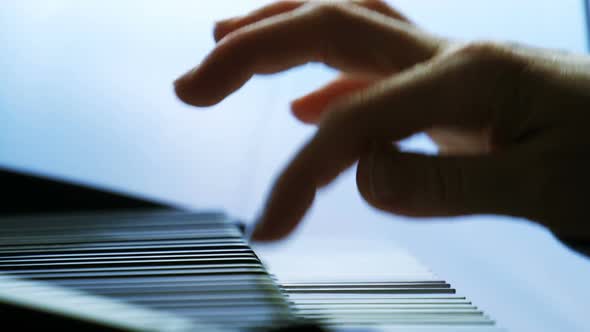 Female Hands Playing Piano. A Woman Touches the Keys with Her Fingers