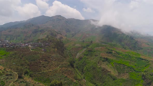Tropical Landscape with Farmlands in Mountains alt
