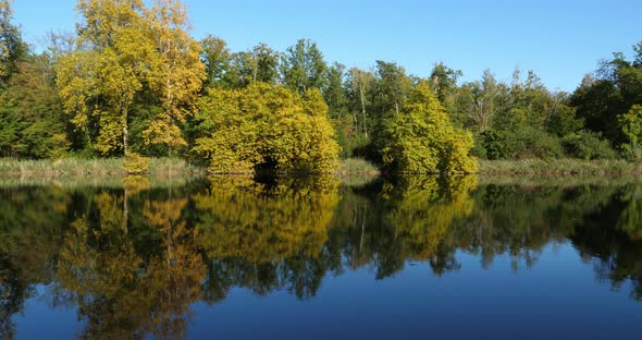 The pond Sainte Perine, Forest of Compiegne, Picardy, France. alt