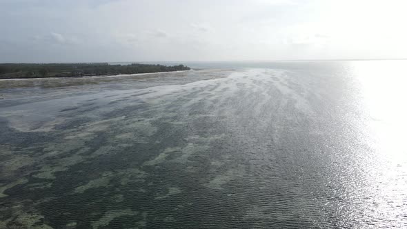 Ocean Low Tide Near the Coast of Zanzibar Island Tanzania alt