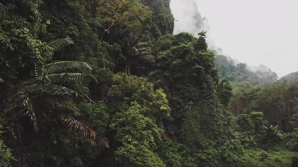 Flying Through the Tropical Rainforest Between the Green Mountains on a Rainy Day