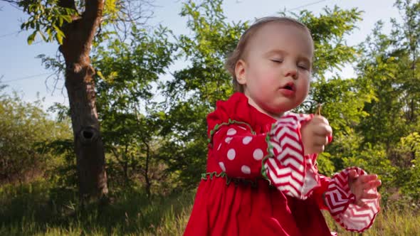 The Child in the Red Dress Smiles and Eats Cherries