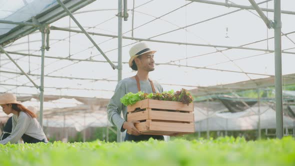 Asian farmers couple work in vegetables hydroponic farm with happiness. alt