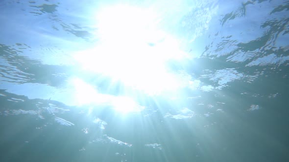 Reflection Of Sun In Water