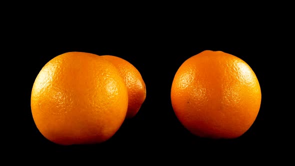 Oranges on a Black Background alt