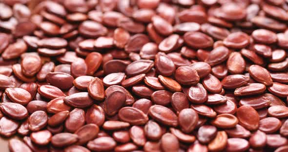 Red Melon Seed for Chinese New Year