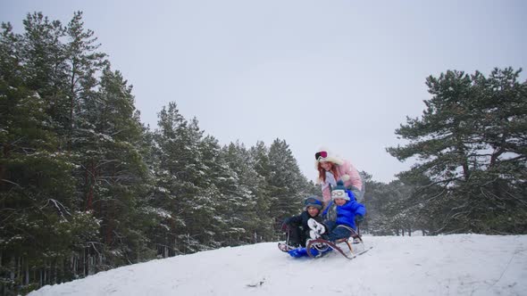 Winter Holidays Joyful Young Woman Together with Male Children Have Fun Sledding in Snowy Forest