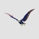 American Eagle - USA Flag - Flying Transition - V - 317