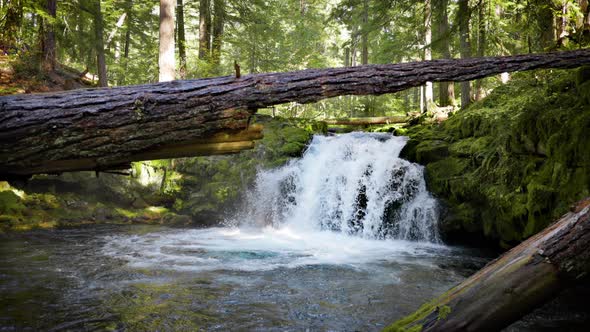 The beautiful White Horse Falls in Oregon, USA. Slow Motion. alt
