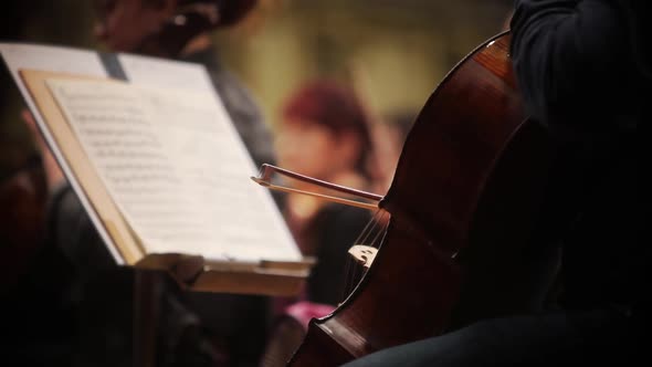 Person performing on a cello