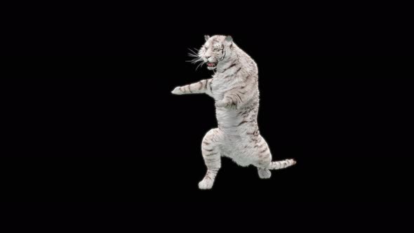 77 White Tiger Dual Weapon Combo 4K alt