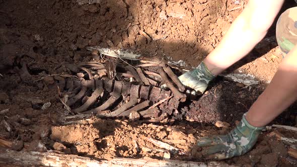 Exhumation of Human Remains  6