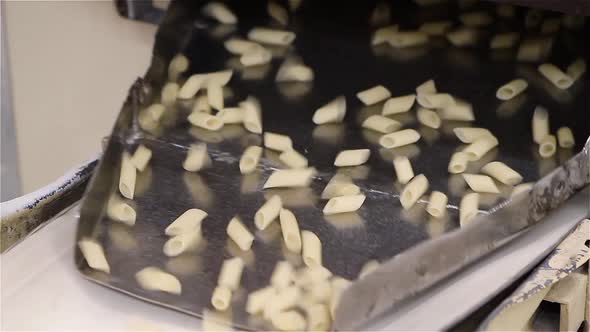 Pasta Factory Machine. alt