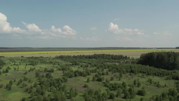 Green and yellow rural fields with blue sky in summer time in Ural