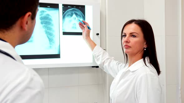 Female Doctor Points Pencil on the X-ray of Human Head alt