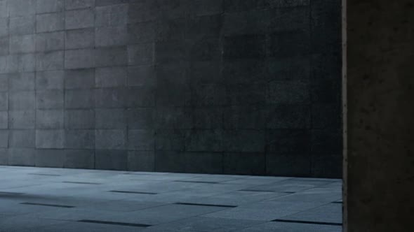 Urban style generation z young teenager portrait with city cement wall in background alt