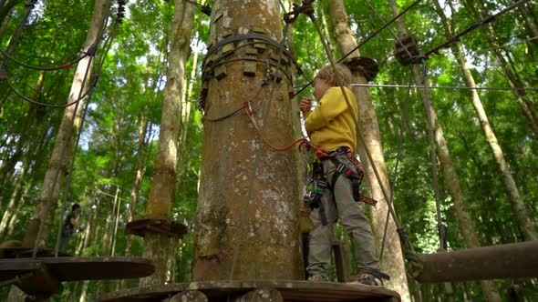 Slowmotion Shot of a Little Boy in a Safety Harness Climbs on a Route in Treetops in a Forest alt