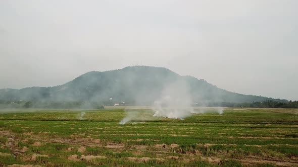 Global warning open fire at open rice field. alt