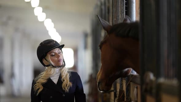 Female Jockey and Her Brown Horse are Communicating in Stable Professional Horse Rider alt