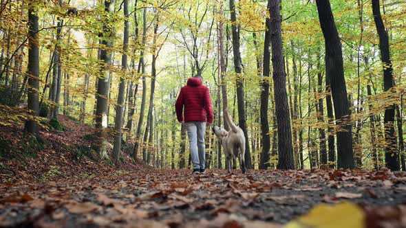 Rear View Of Man With Dog In Autumn Nature