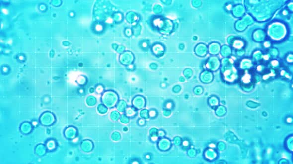 The Amoeba Is Moving Through Microscopic Lightings By Researchers alt