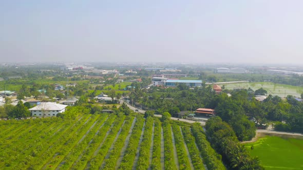 Aerial view of street road with residential buildings, Ratchaburi skyline, Thailand. Urban city
