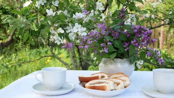 Tea Drinking in the Garden in Spring Against the Backdrop of Flowering Trees